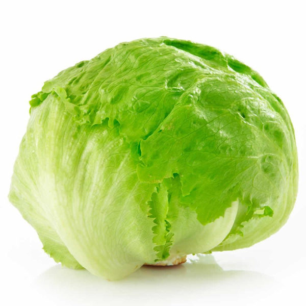Lechuga iceberg pieza.