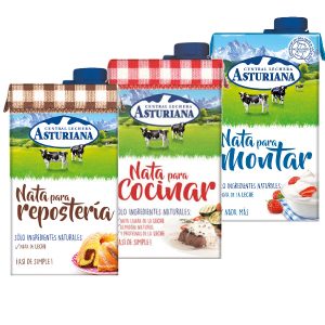 Nata Asturiana 500 ml.