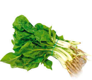 Acelgas raíz «manojo 600 g aprox.» Acelgas raíz «manojo 600 g aprox.»