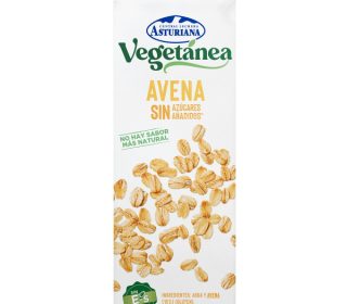 Vegetanéa avena sin azúcares añadidos 1 Lt